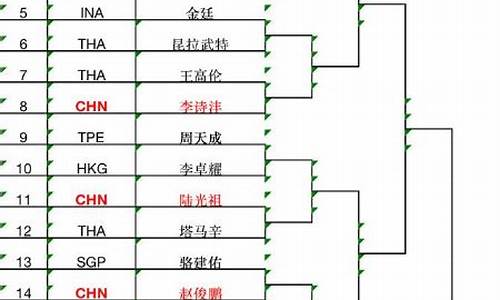 日本羽毛球公开赛签表最新版_2020日本羽毛球公开赛