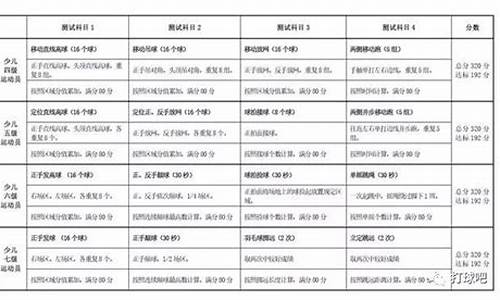 羽毛球运动员等级标准_羽毛球运动员等级标准表